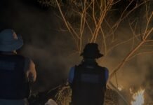 Santa Filomena (PE): Polícia prende três suspeitos e destrói 50 mil pés de maconha do tipo ‘flor chilena’