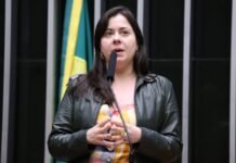 Comissão aprova projeto que obriga o governo a oferecer livros digitais gratuitos