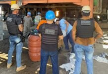 Polícia Civil incinera mais de 227 quilos de drogas em Juazeiro (BA)