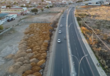 Vazamento na Avenida Mário Rodrigues em Petrolina (PE) deixa 8 bairros sem água