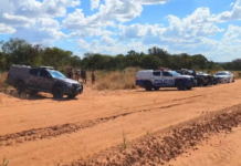 Mulher é encontrada morta em rodovia no Tocantins e ex-companheiro é preso em Filadélfia (BA)