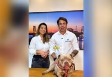 Forró Pet: Quem adquirir o plano VitaPet Saúde vai ajudar o mutirão de castração