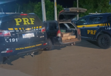 PRF resgata 250 pássaros silvestres transportados em gaiolas e saco de nylon, em Parnamirim (PE)