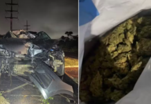 ‘Super maconha’: PRF apreende 4 kg de ‘skunk’ após seguir rastro de sangue, em Arcoverde (PE)