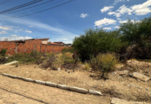 Para evitar multas, proprietários de terrenos em Petrolina (PE) precisam manter espaços limpos limpos