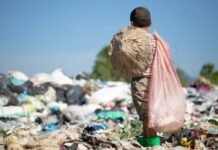 Mais de 4,3 mil crianças foram tiradas do trabalho infantil em 2025