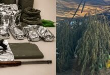 PM apreende 170kg de maconha e armas de fogo em Casa Nova (BA)