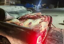 Risco à saúde pública: PRF apreende 800 kg de carne bovina sem refrigeração em Garanhuns (PE)