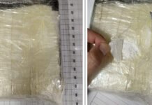 PF prende mulher em flagrante com 730 gramas de cocaína no Recife (PE)