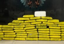 Petrolina (PE): Polícia apreende mais de 52 kg de drogas em operação contra tráfico de drogas