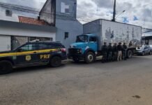 Homens em caminhão roubado tentam fugir da polícia por matagal, mas terminam detidos em Custódia (PE)