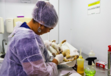 Até o mês de julho, mais de 1.150 animais já foram castrados por meio do Castramóvel em Petrolina (PE)