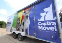Petrolina (PE): Castramóvel vai oferecer castração gratuita para cães e gatos no bairro Alto do Cocar neste sábado