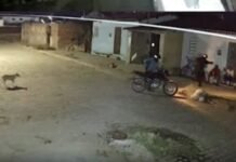 Homem de 50 anos é assassinado a tiros na porta de casa em Cabrobó (PE)