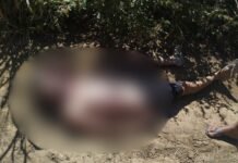 Corpo de homem é encontrado em estrada no Projeto N-7 em Petrolina (PE)