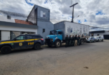 Dupla é presa com caminhão roubado na BR-232, em Custódia (PE)