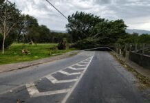 Sobe para três o número de mortes em SP devido à ventania