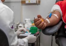 Saúde atualiza procedimentos hemoterápicos e Anvisa orienta período de transição