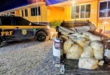 PRF apreende 700 kg de laticínio sem refrigeração no Agreste de Pernambuco