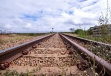 Contrato para obras do trecho Salgueiro-Suape da Transnordestina é formalizado por R$ 312,8 milhões