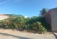 Terrenos abandonados podem gerar multas de até R$ 100 mil em Petrolina