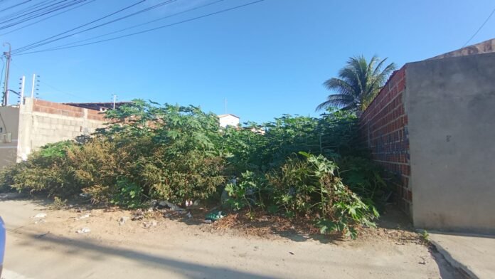 terreno petrolina pmp