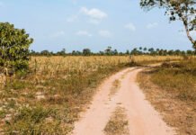 Lagoa Grande (PE): Justiça confirma pedido do Ministério Público e determina livre trânsito na Estrada da Barra Bonita