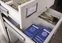 Perda ou roubo de documentos: mais de 32 mil ocorrências foram registradas em Pernambuco no primeiro semestre