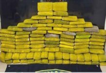 Polícia Civil apreende cerca de 93 kg de maconha escondidos no porto fluvial de Petrolina (PE)