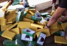 Quase meia tonelada de cocaína é incinerada pela Polícia Federal em Salgueiro (PE)