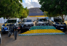 PRF apreende quase meia tonelada de cocaína e pasta base em Salgueiro (PE)
