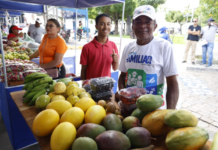 50 expositores participam de edição da Feira da Agricultura Familiar em Petrolina (PE)