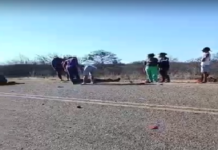 Colisão entre motocicletas deixa dois mortos em Dormentes (PE)