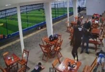 Homem é executado por criminosos vestidos com camisas da Polícia Penal em Vitória de Santo Antão (PE)