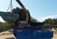 Petrolina (PE) e Juazeiro (BA) unem esforços em mutirão de limpeza na Ilha do Fogo