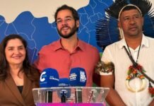 Túlio Gadêlha confirma Dulci Amorim e anuncia Marcelo Pankararu como suplentes ao Senado