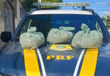 PRF apreende 10 kg de supermaconha “Skunk”, em Sertânia (PE)