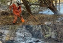 Corpo de Bombeiros intensifica combate a incêndio florestal entre Pilão Arcado e Campo Alegre de Lourdes na Bahia