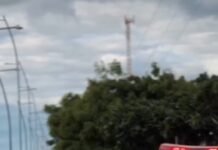 Pernambuco: Entre maio e agosto, operações policiais prendem 531 suspeitos e apreendem 131 armas e mais de 70kg de drogas