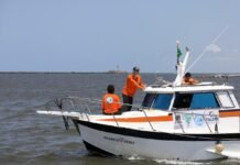 Após 11 anos, Governo de Pernambuco retoma monitoramento de tubarões no litoral da Região Metropolitana