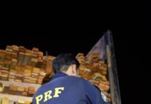 PRF conclui operação Sumaúma II com foco no combate a crimes ambientais