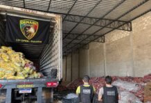 Polícia recupera 23 toneladas de café avaliadas em R$ 1,1 milhão e prende três pessoas em Petrolina