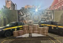 Pernambuco: Polícia apreende 870 Kg de maconha em caminhão com equipamentos de academia