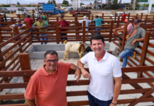 Simão Durando entrega Feira de Animais do bairro Pedra Linda e fortalece atividade de criadores de Petrolina (PE)