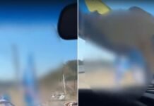 Crime eleitoral em Petrolina: Homem usa carro para destruir bandeiras de candidatos instaladas na cidade