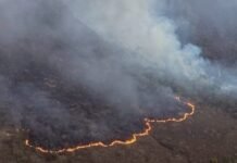 Incêndio de grandes proporções avança em serra entre Jacobina (BA) e Caém (BA); Bombeiros de Juazeiro (BA) são acionados