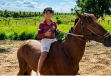 Criança morre após ser atropelada por caminhão enquanto andava a cavalo em Petrolândia (PE)