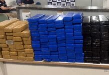 Polícia Militar apreende 142 quilos de maconha na BR-232, em Vitória de Santo Antão (PE)