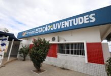 Petrolina (PE): Curso gratuito de Design Digital com inteligência artificial oferece vagas para jovens