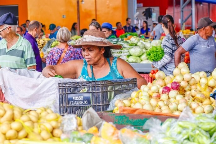 feira petrolina pmp